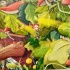Вітруля, дубовичка невеличка