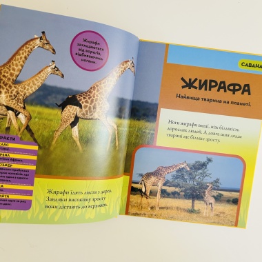 National Geographic.Моя перша енциклопедія.Тварини