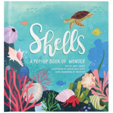 Jumping Jack Press Shells: A Pop-Up Book of Wonder