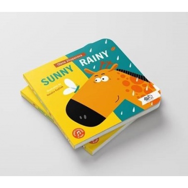 Sunny, Rainy 