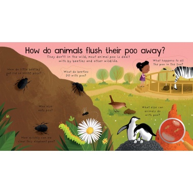 Lift-the-Flap First Questions and Answers: Where Does Poo Go?