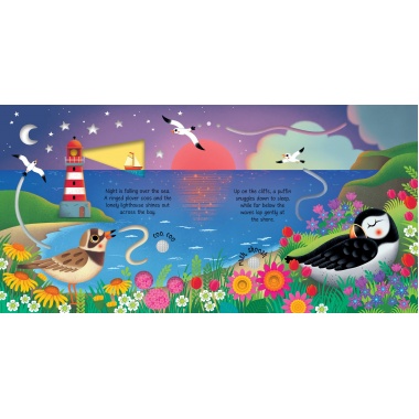 Seashore Sounds