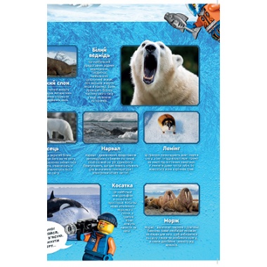 Журнал LEGO Explorer з конструктором. Пингвин