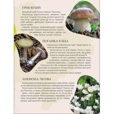 Перлини природи України