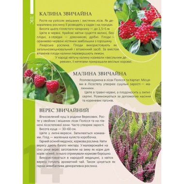 Перлини природи України
