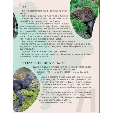 Перлини природи України