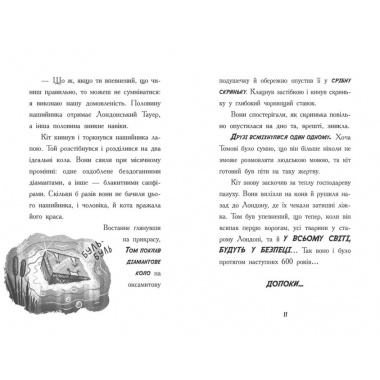 Тото. Кішка-ніндзя і таємниця крадія коштовностей. Книга 4