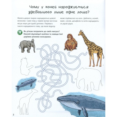Чому? Чого? Навіщо? Малята тварин : Інтерактивна книжка для дітей віком від 4 до 7 років