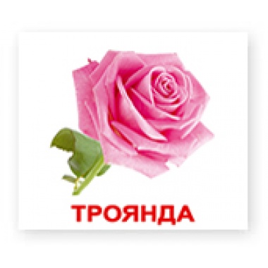 Світ природи. Випуск 2. Ламінований варіант