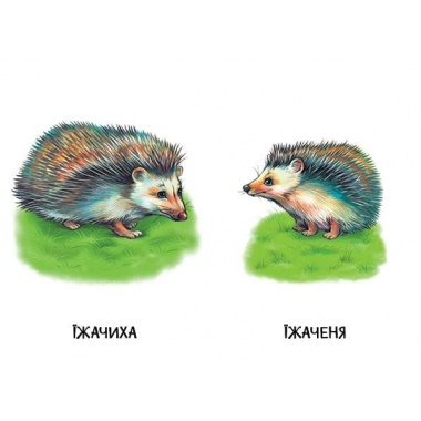22 картинки. Мами і дитинчата
