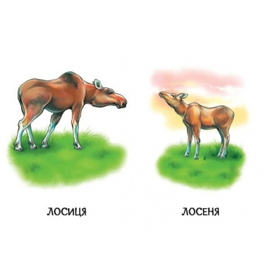 22 картинки. Мами і дитинчата