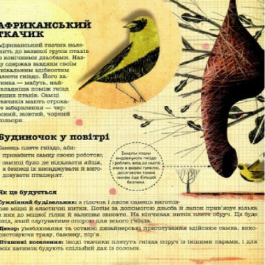 Архітектори у світі тварин