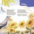 Віршенята-загадки для малят. 3–5 років