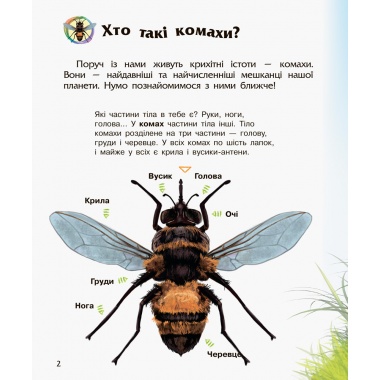 Комахи