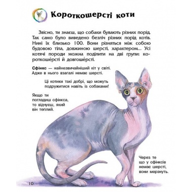 Коти