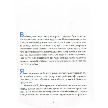 Єнотик Бо і повітряна куля. Книга 1