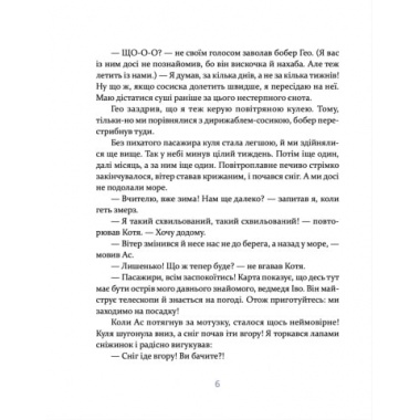 Єнотик Бо і дивний-дивний сніг. Книга 2