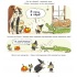 Зук. Том 12 “Маленька відьма стає великою”
