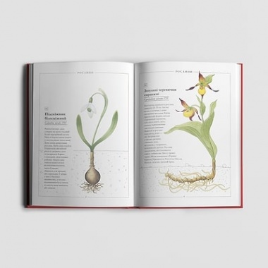Червона книжечка