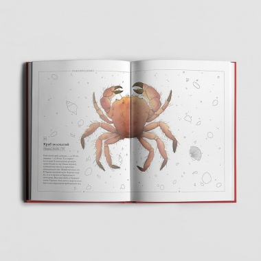 Червона книжечка