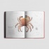 Червона книжечка