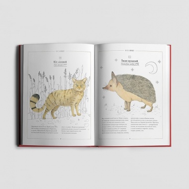 Червона книжечка
