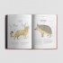 Червона книжечка