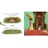 Не їж бджіл. Життєва мудрість від песика Чіпа