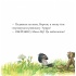 Ворон каже: ОБЕРЕЖНО!