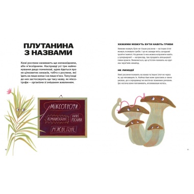 Хто такі хижі рослини?