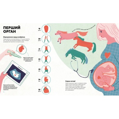 Серце. Історія, наука і багато любові