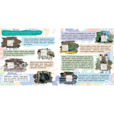 Комахи. 100 цікавинок