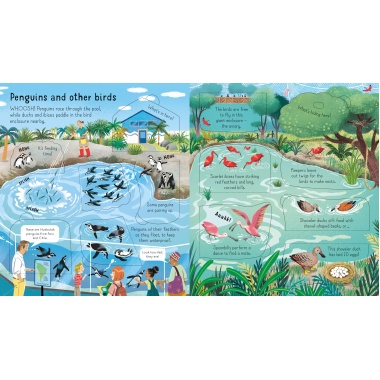 Look Inside a Zoo