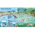 Look Inside a Zoo