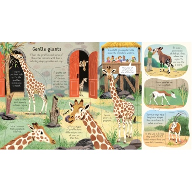 Look Inside a Zoo