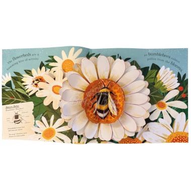Nature Pop-ups: Minibeasts