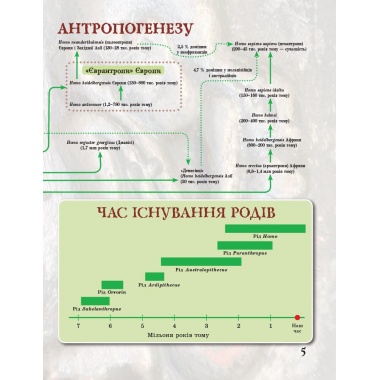 Від мавпи до людини