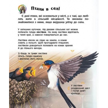 Птахи