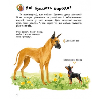 Собаки