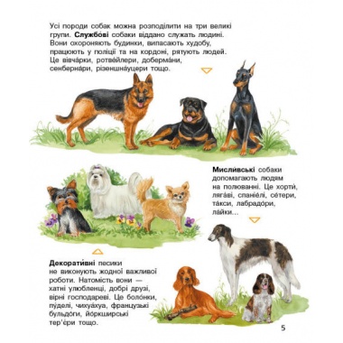 Собаки
