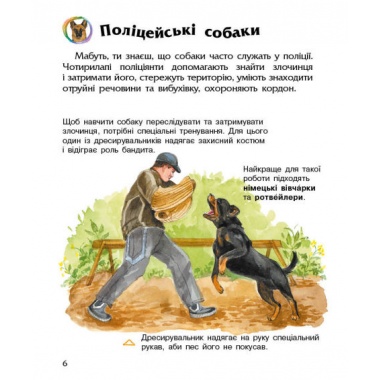 Собаки