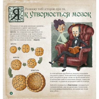 Як працює людський мозок