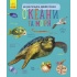 Океани та моря