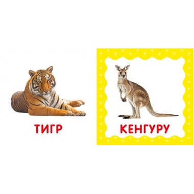 Перша книга малюка. Дикі тварини
