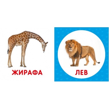 Перша книга малюка. Дикі тварини