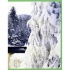 Пори року. Моя перша книжка