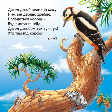 Хто сховався в лісі?