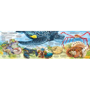 Велика книга морських мешканців