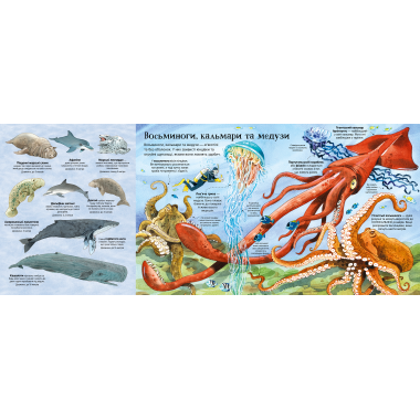 Велика книга морських мешканців