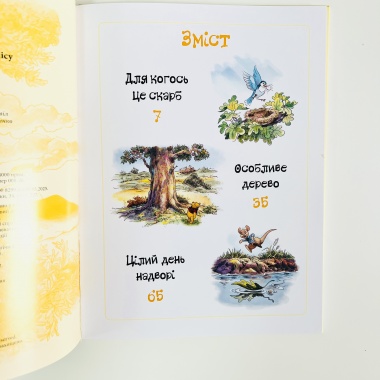Вінні та його друзі. Дива лісу